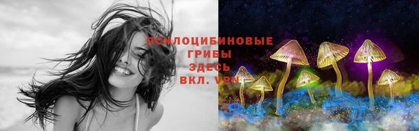 трава Мегион