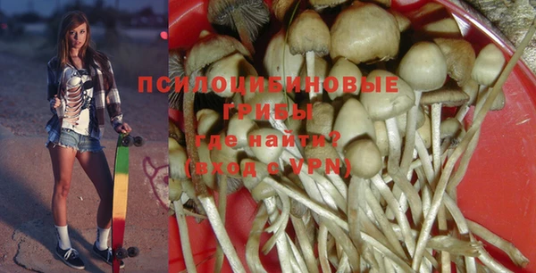 трава Мегион