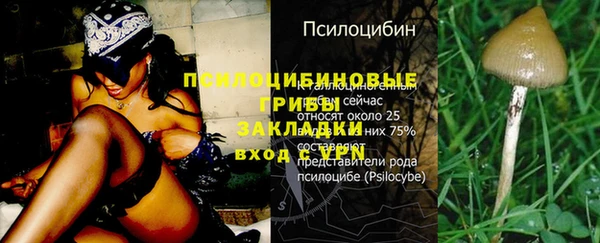 трава Мегион